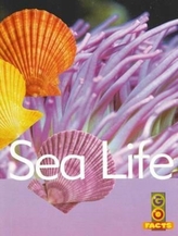  Sea Life