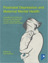  Postnatal Depression and Maternal Mental Health