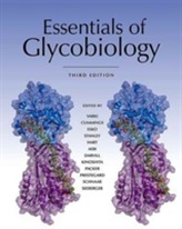  Essentials of Glycobiology, Third Edition