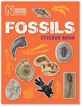  Fossils Sticker Book