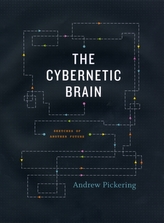 The Cybernetic Brain