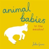  Animal Babies in the meadow!