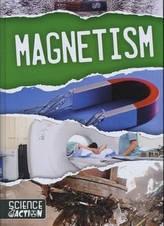  Magnetism