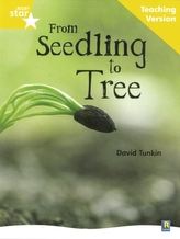  Rigby Star Non-fiction Guided Reading Yellow Level: From Seedling to Tree Teaching Version