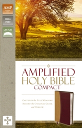  Amplified Holy Bible, Compact, Leathersoft, Tan/Burgundy