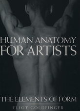  Human Anatomy for Artists