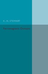 Ferromagnetic Domains