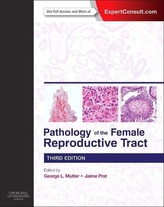  Pathology of the Female Reproductive Tract