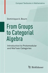  From Groups to Categorial Algebra