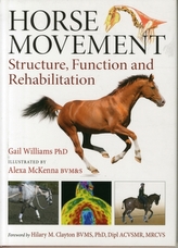  Horse Movement