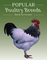  Popular Poultry Breeds