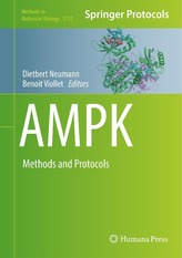  AMPK