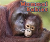  Mammal Babies