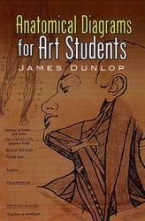  Anatomical Diagrams for Art Students