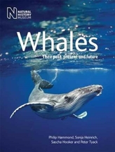  Whales