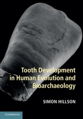  Tooth Development in Human Evolution and Bioarchaeology