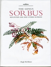  Genus Sorbus