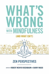  What's Wrong with Mindfulness