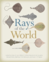  Rays of the World