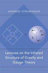  Lectures on the Infrared Structure of Gravity and Gauge Theory