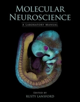  Molecular Neuroscience