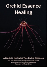  Orchid Essence Healing