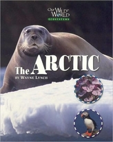  Arctic