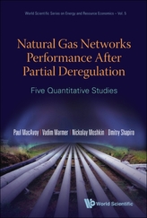 Natural Gas Networks Performance After Partial Deregulation: Five Quantitative Studies