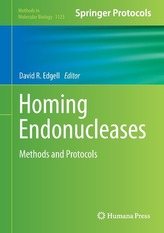  Homing Endonucleases
