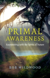  Primal Awareness