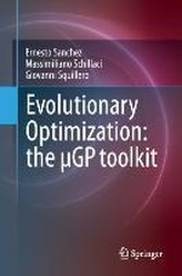  Evolutionary Optimization: the GP toolkit