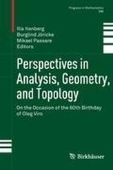  Perspectives in Analysis, Geometry, and Topology