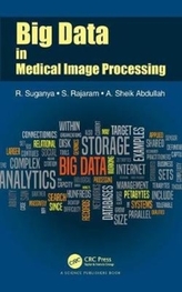  Big Data in Medical Image Processing