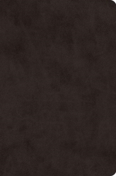  ESV Compact Outreach Bible, Premium Edition