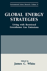  Global Energy Strategies