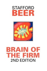  Brain of the Firm 2E