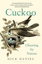  Cuckoo