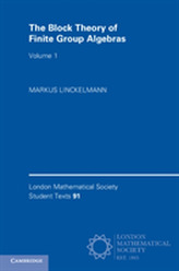 The Block Theory of Finite Group Algebras