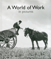 A World of Work in Pictures