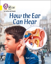  How the Ear Can Hear