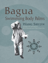  Bagua Swimming Body