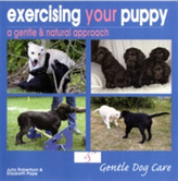  Exercising Your Puppy