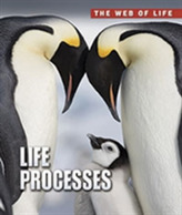  Life Processes