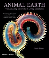  Animal Earth