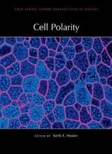  Cell Polarity