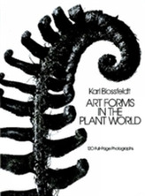  Art Forms in the Plant World