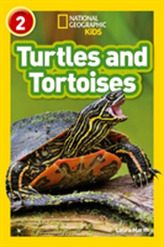  Turtles and Tortoises
