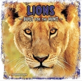 Lions