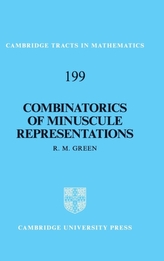  Combinatorics of Minuscule Representations