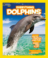  Everything: Dolphins